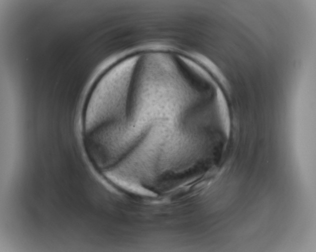 X0000113291335200910051053