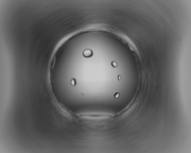 X0000113291336200910051053