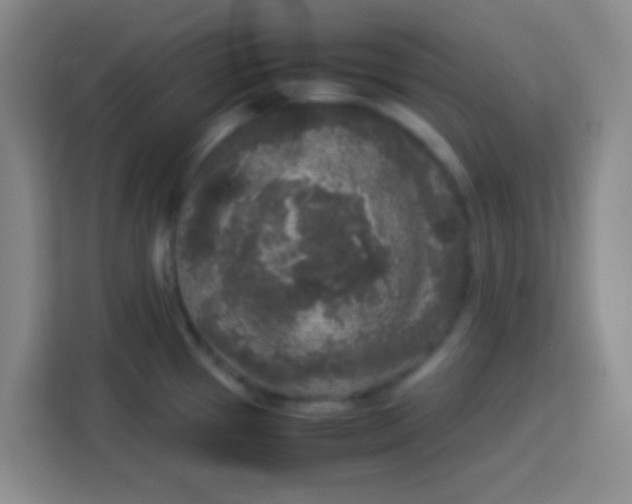 X0000113291337200910051053