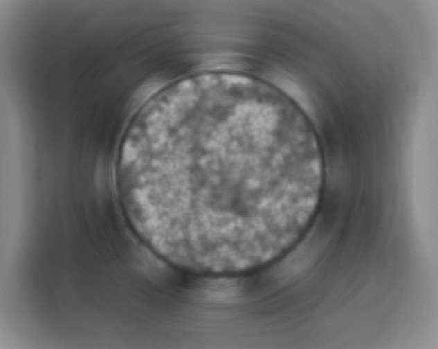 X0000113291338200910051053