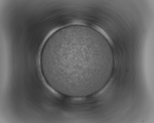 X0000113291339200910051053