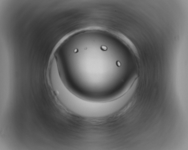 X0000113291340200910051053