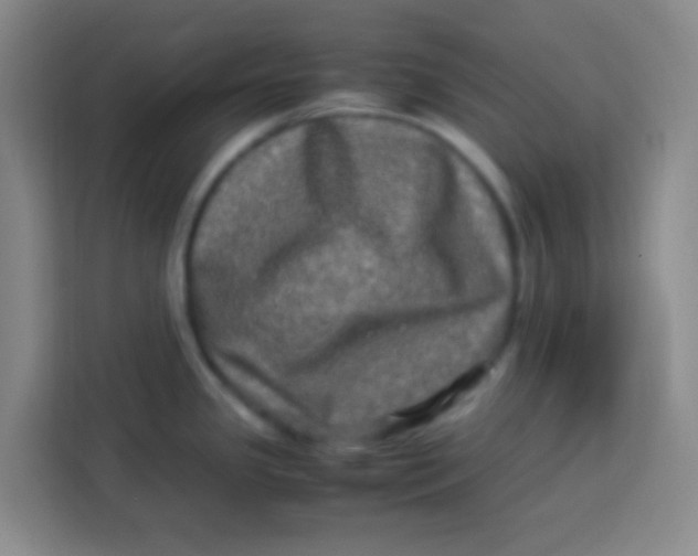 X0000113291341200910051053