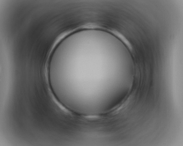 X0000113291343200910051053