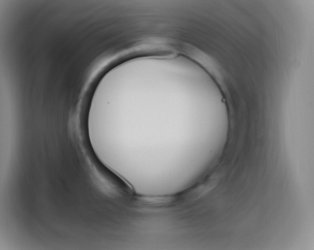 X0000113291344200910051053