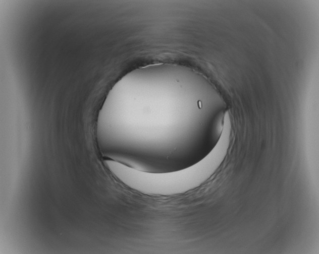 X0000113291345200910051052