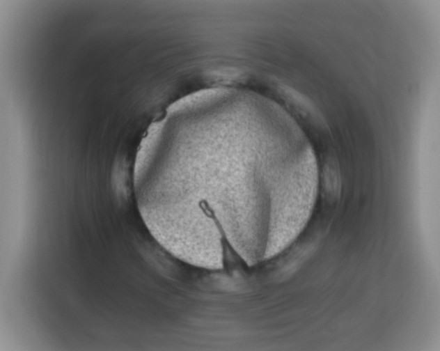 X0000113291346200910051052