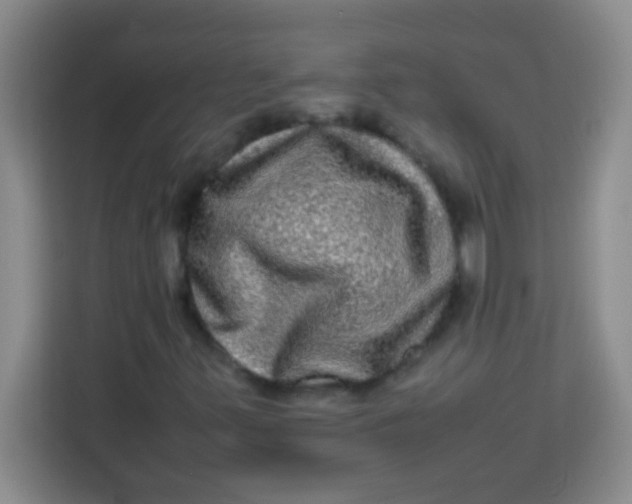 X0000113291347200910051052