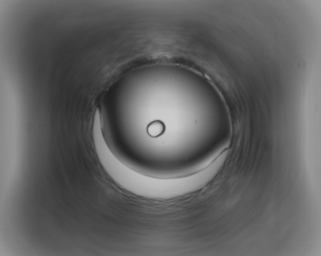 X0000113291348200910051052