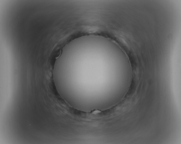 X0000113291349200910051052