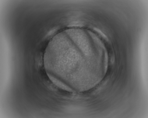 X0000113291350200910051052