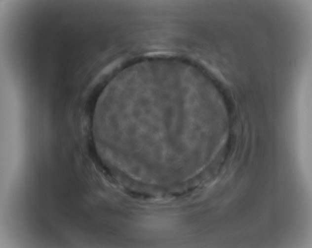 X0000113291351200910051052