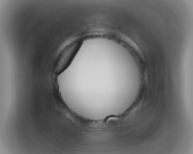 X0000113291352200910051052