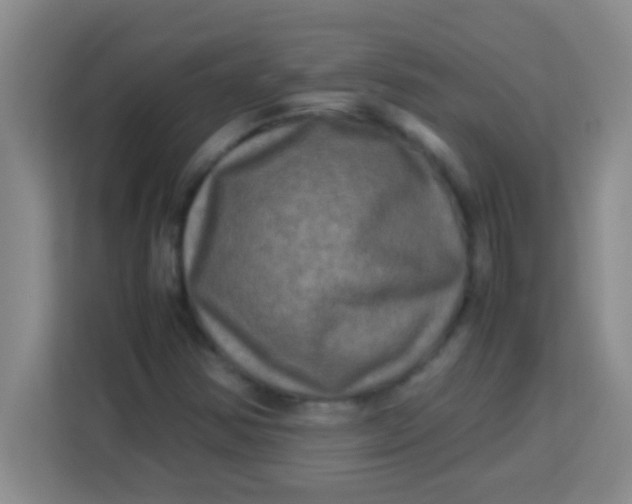 X0000113291354200910051052