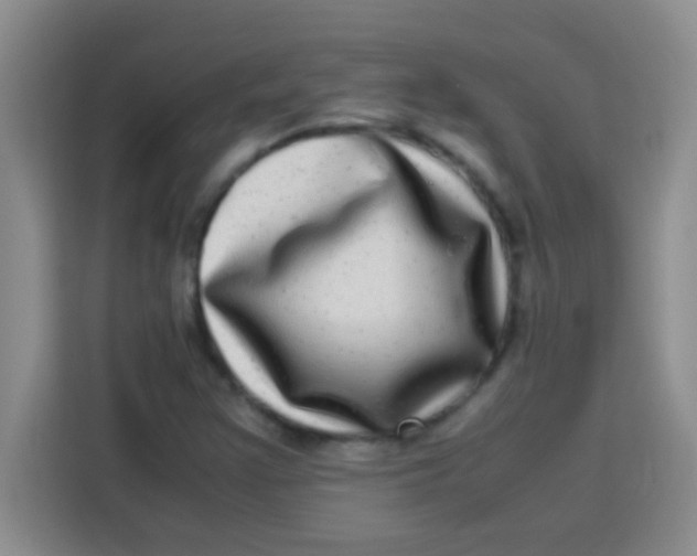 X0000113291355200910051052