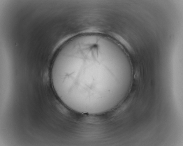 X0000113291356200910051052