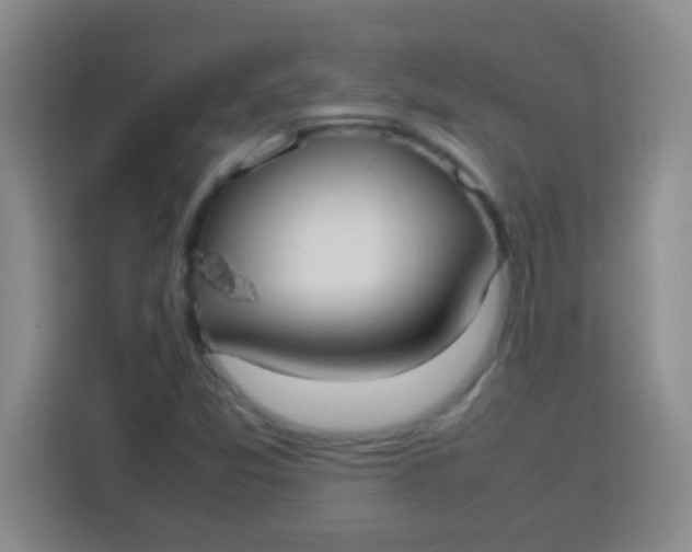 X0000113291357200910051052