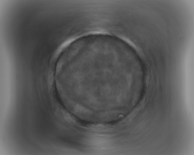 X0000113291359200910051052