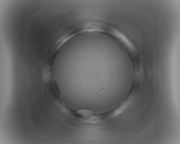 X0000113291361200910051052