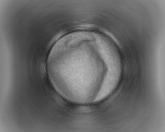 X0000113291362200910051052