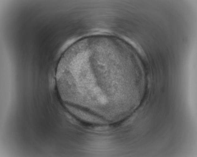 X0000113291363200910051052