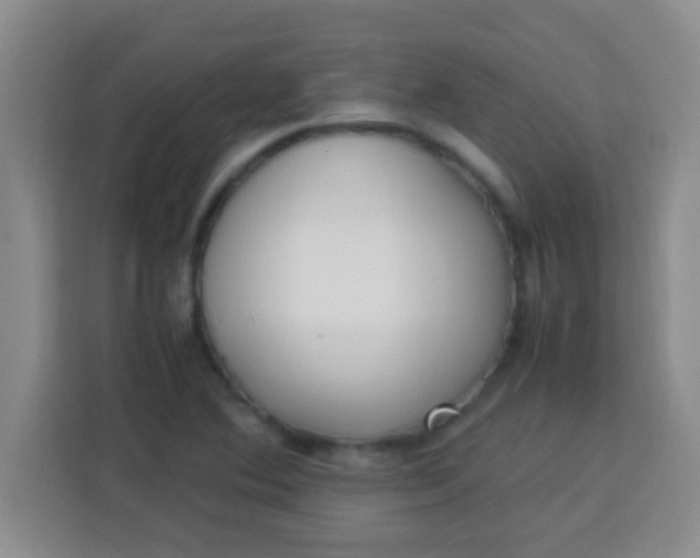 X0000113291364200910051052