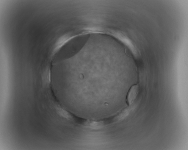 X0000113291365200910051052