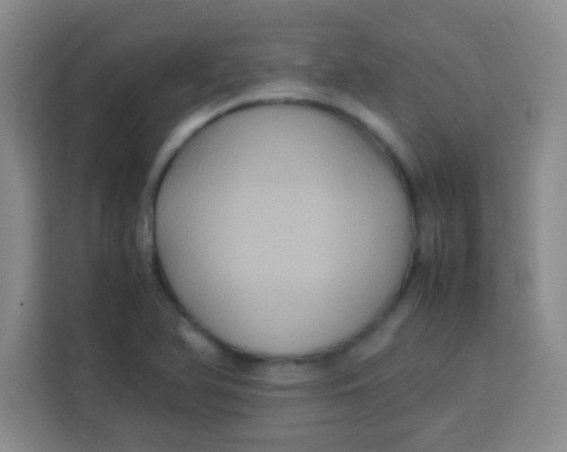 X0000113291366200910051052