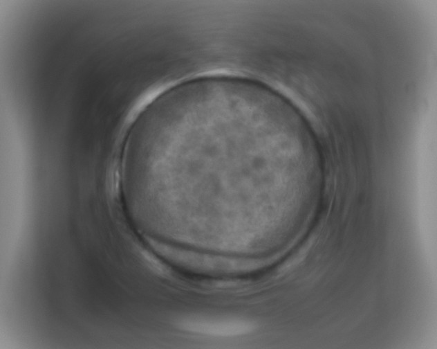 X0000113291367200910051052