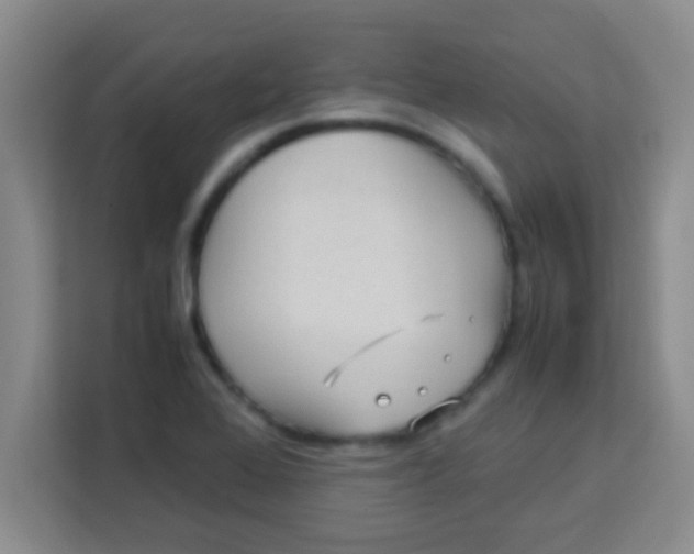 X0000113291368200910051052