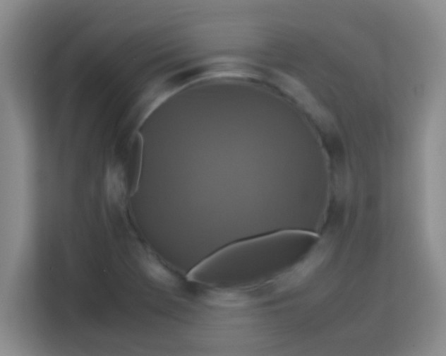 X0000113291369200910051052