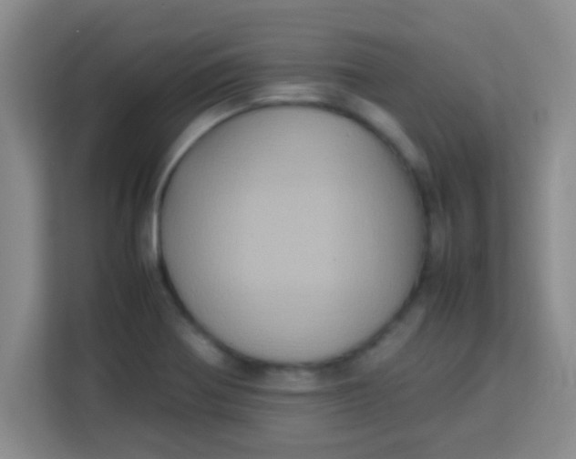 X0000113291370200910051052