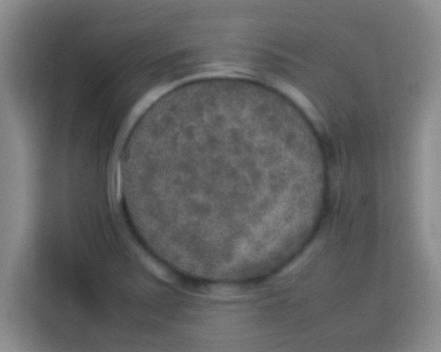 X0000113291371200910051052