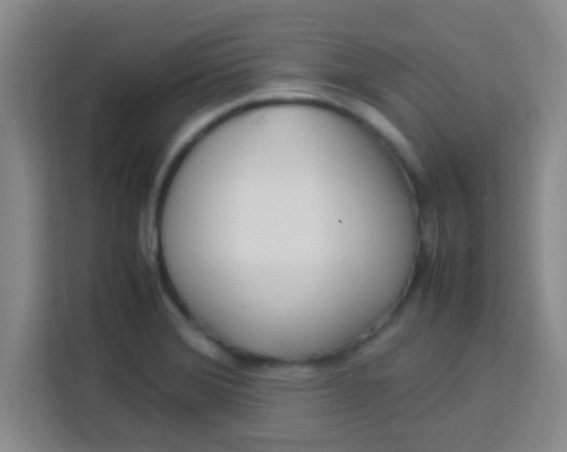 X0000113291372200910051052