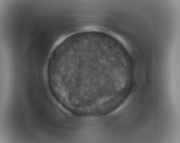 X0000113291373200910051052