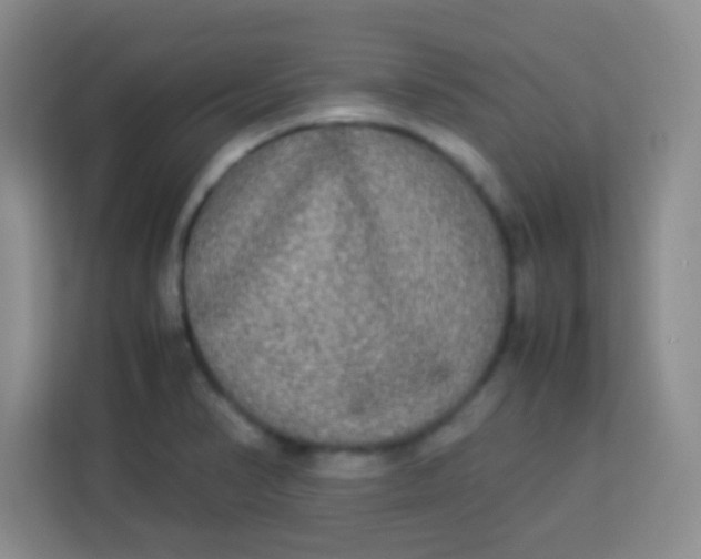 X0000113291374200910051052