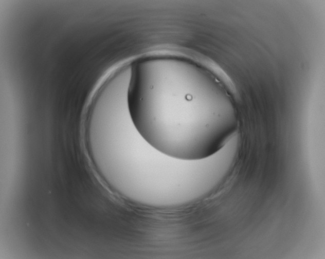 X0000113291376200910051052