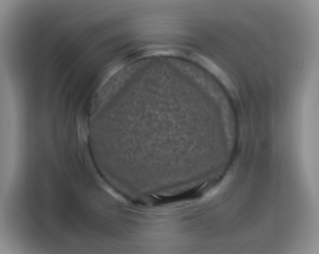 X0000113291377200910051052