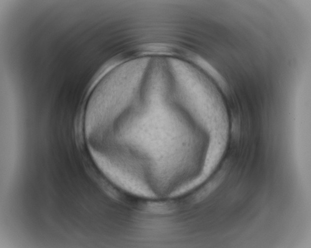 X0000113291378200910051052