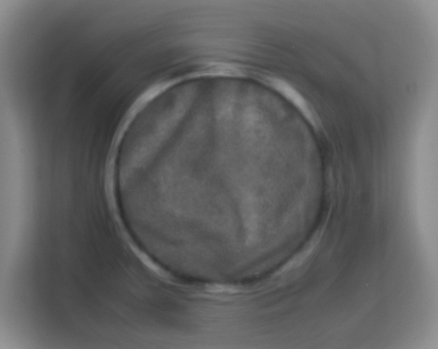 X0000113291379200910051052