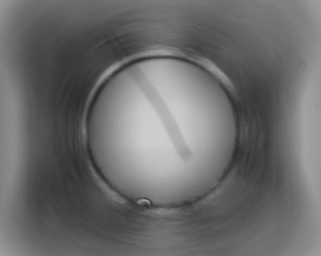 X0000113291380200910051052