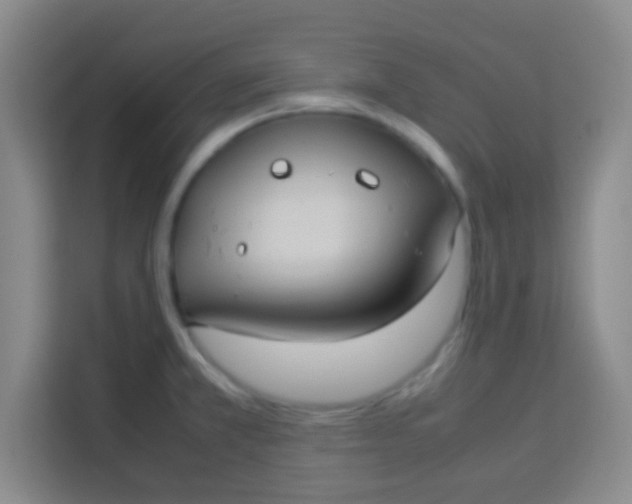 X0000113291381200910051052