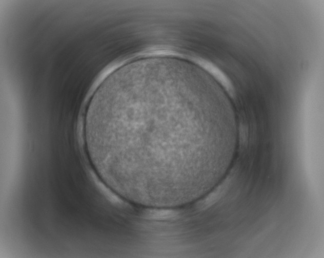 X0000113291382200910051052