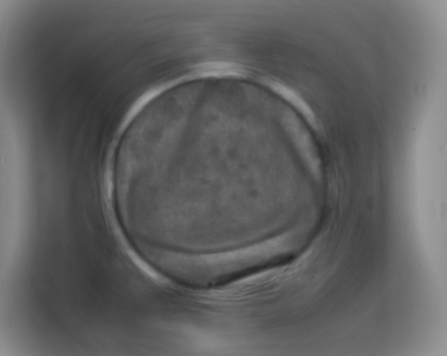 X0000113291383200910051052