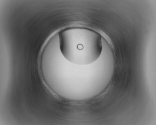 X0000113291384200910051052