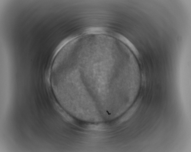 X0000113291386200910051052