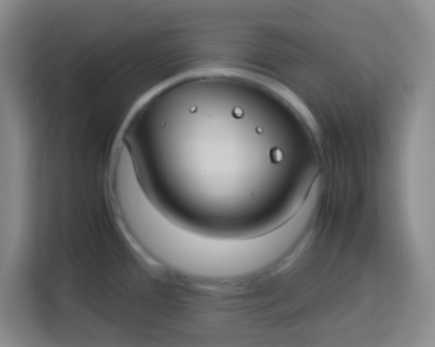 X0000113291388200910051052