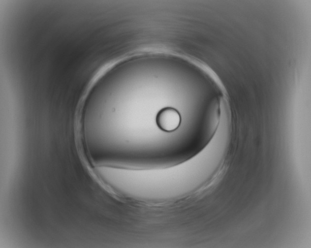 X0000113291389200910051052