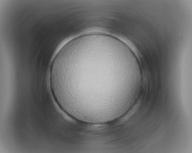 X0000113291390200910051052