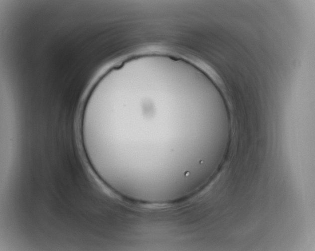 X0000113291392200910051052